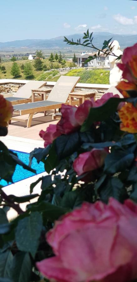 Vinifera Ephesus Hotel Selçuk Kültér fotó